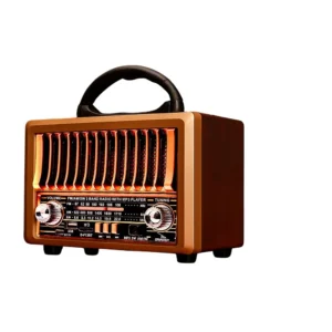 Radio Am/Fm - D-F13BT - Grasep